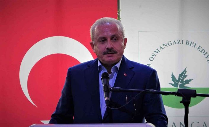 TBMM Başkanı Şentop, Ahmed Cevdet Paşa’yı anlattı: "Hayatına birçok şey sığdırdı"