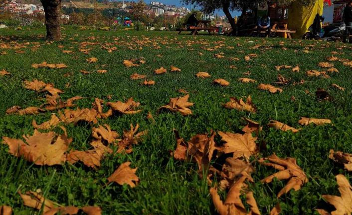 Tekirdağ’da Sonbahar güzelliği: Sahil alanda renk cümbüşü yaşanıyor