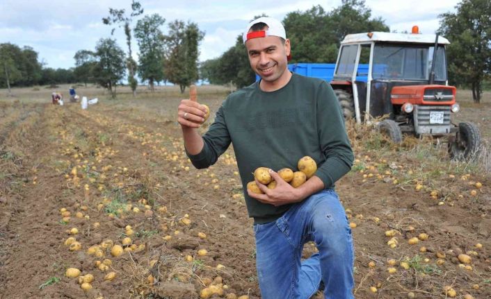 Tohum desteği meyvelerini verdi