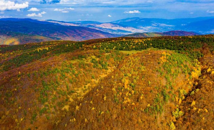 Topçam dağında hazan mevsimi