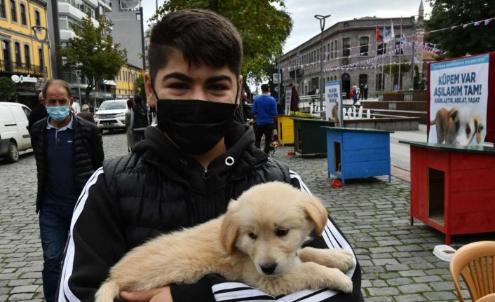 Trabzon’da 4 Ekim Dünya Hayvanları Koruma Günü etkinlikleri