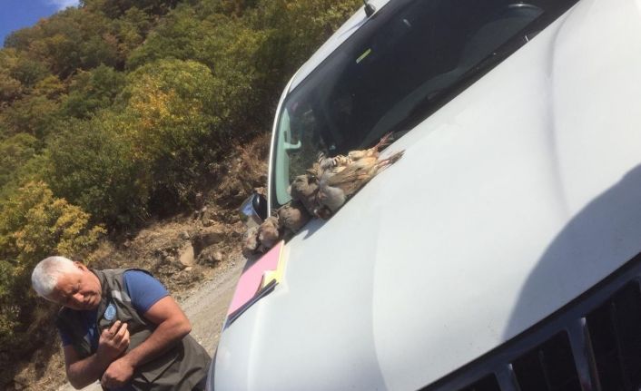 Tunceli’de kaçak avlanan 9 kişiye ceza kesildi, 14 ölü keklik ele geçirildi
