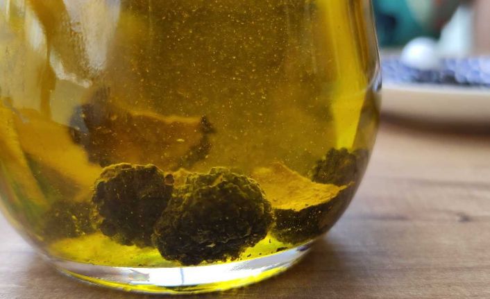 Türk mantarının borsasını Alman kurdu