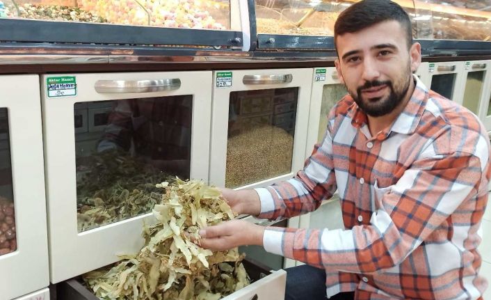 Ucuzlayan fiyatıyla ıhlamur bu sene de vazgeçilemez olacak