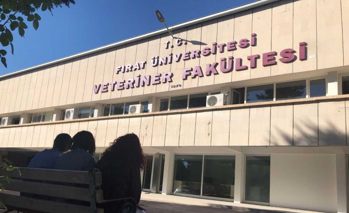 Uluslararası başarıya imza atan FÜ Veteriner Fakültesi, EAEVE tarafından akredite edildi