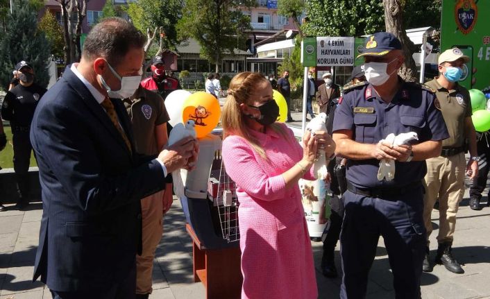 Uşak’ta 4 Ekim Hayvanları Koruma Günü çeşitli etkinliklerle kutlandı