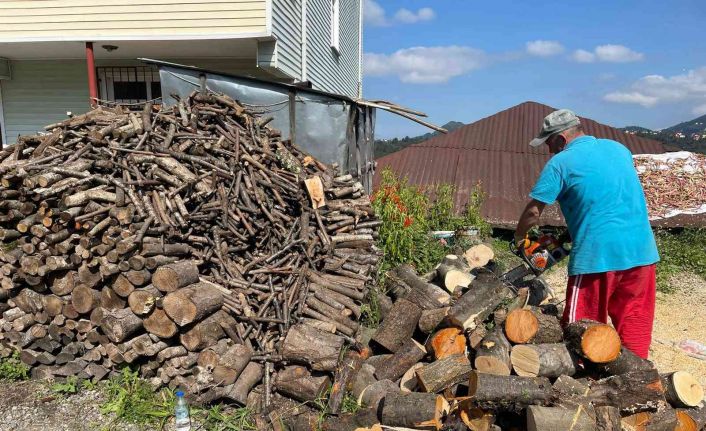 Vatandaşların kışlık odun hazırlıkları sürüyor