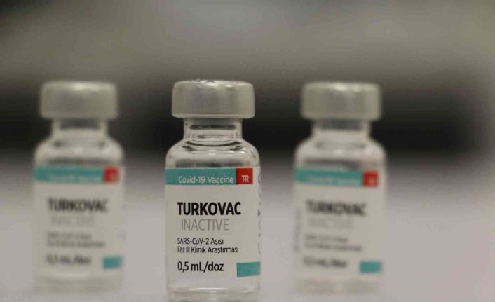 Yerli aşı Turkovac, Acil Kullanım Onayı öncesi son gönüllülerini bekliyor