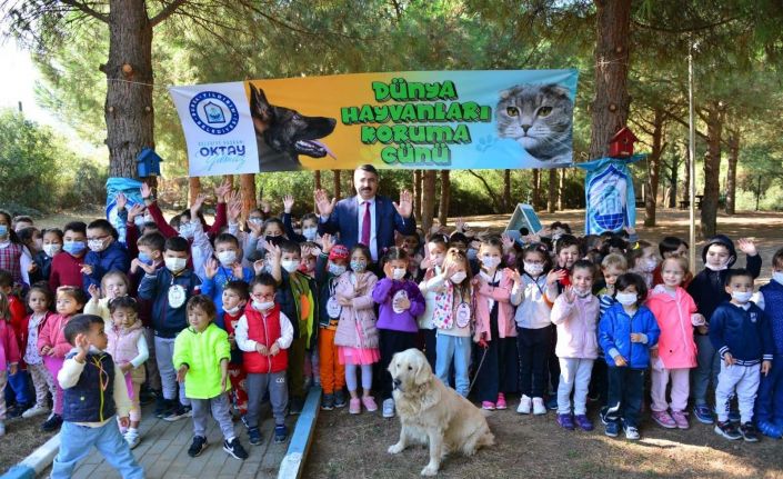 Yıldırım’da sokak hayvanları emin ellerde