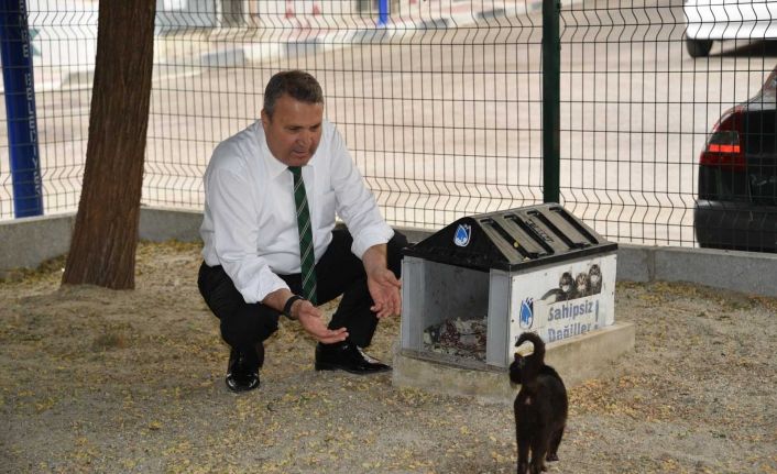 Yunusemre’de sokak hayvanları unutulmadı