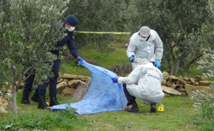 Zeytin ağacı yüzünden kardeşini öldüren ağabey, 17 yıl 6 ay hapis cezasına çarptırıldı