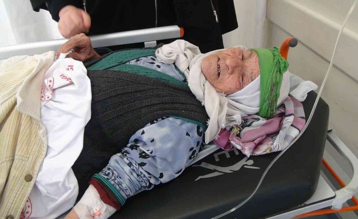 91 yaşındaki alzheimer hastası kadın ölmemek için çukur kazıp, atkısını üstüne örtmüş