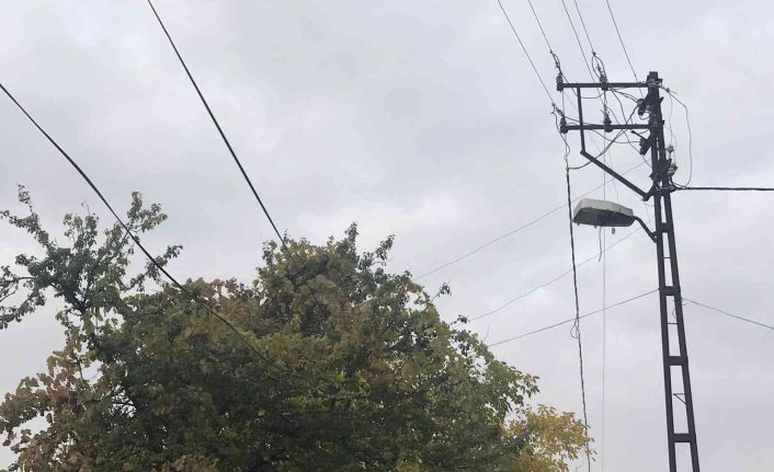 Ağaçların arasında kalan elektrik telleri tehlike saçıyor, vatandaşlar çözüm bekliyor