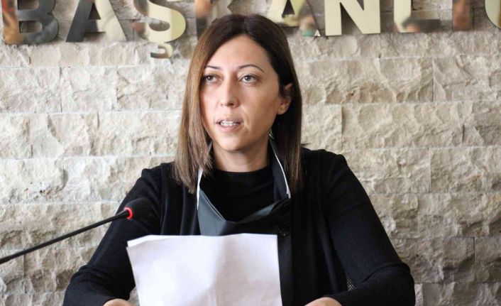 AK Parti Aydın İl Kadın Kolları Başkanı Göğde: "Kadına yönelik şiddet bir dünya sorunudur"