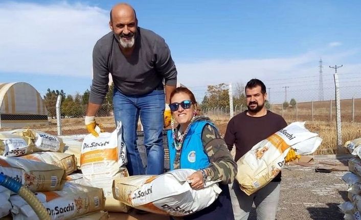 Akdeniz Belediyesine ilaç gibi destek: Sokaktaki canlar dostlara 2 ton mama