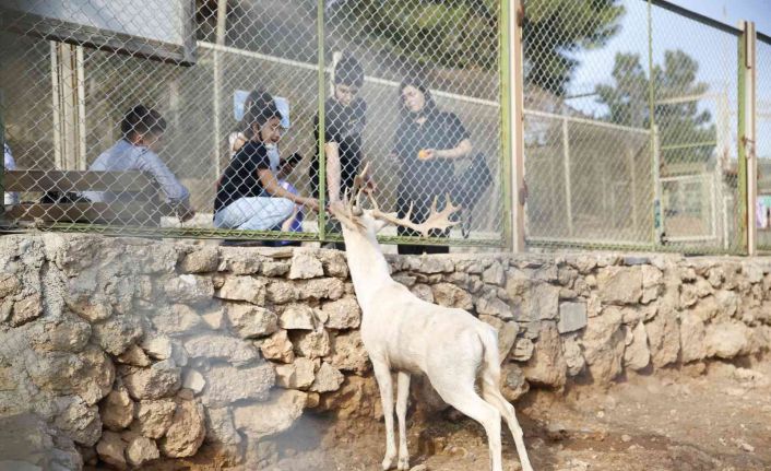Antalya Hayvanat Bahçesi’nde ara tatil yoğunluğu