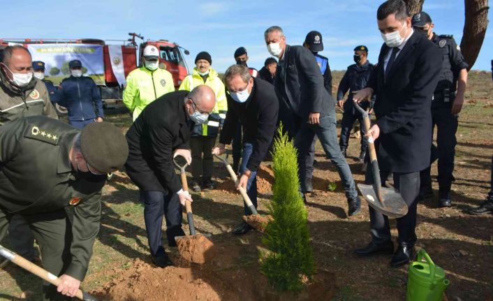 Ayvalık’ta 11 Kasım Milli Ağaçlandırma Günü kapsamında 500 fidan toprakla buluştu