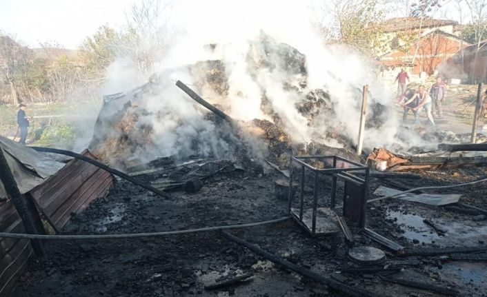 Bilecik’te samanlık yangının 600 balya saman kül oldu