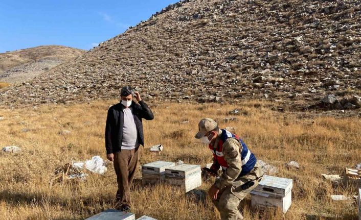 Bitlis’te küçükbaş hayvan ve arı kovanı çalan şahıslar yakalandı