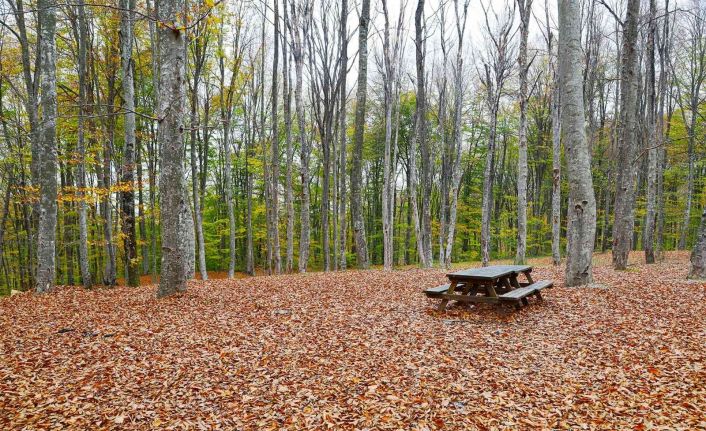 Bursa, Kasım’da başka güzel
