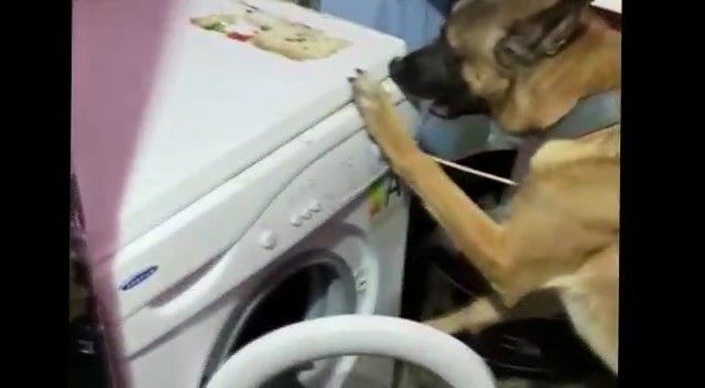 Bursa’da 100 bin kişiyi zehirleyecek miktarda uyuşturucu ele geçirildi