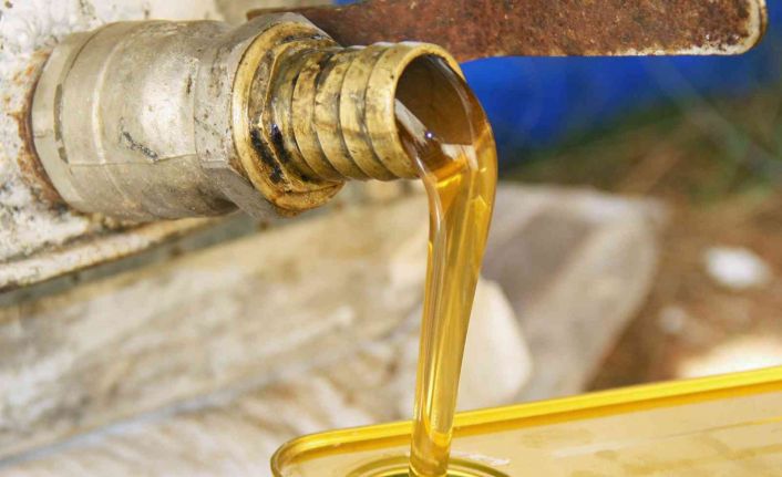 Çam balına TSE standardı