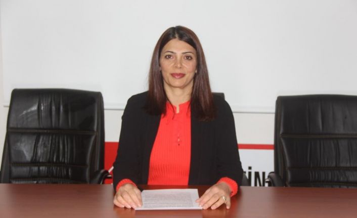 CHP Erzincan Kadın Kollarından Kadına Yönelik Şiddete Karşı Uluslararası Mücadele ve Dayanışma Günü açıklaması