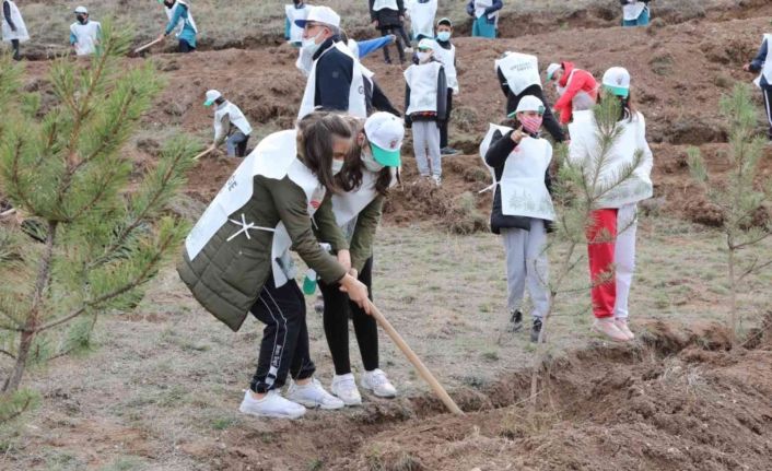 Çorum’da 1 milyon 590 bin fidan toprakla buluştu