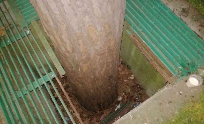 Çukura düşen 3.5 yaşındaki çocuk yaralandı