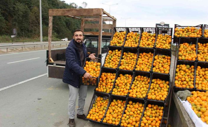 Derepazarı mandalinası tezgaha indi