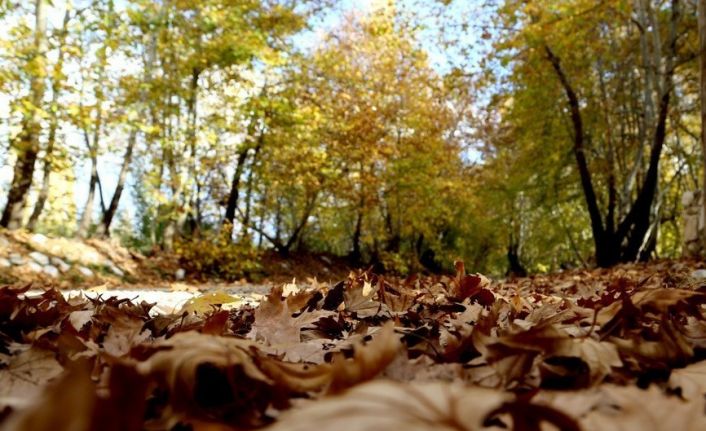 Doğu Anadolu’da mevsim normallerine göre sıcaklık artarken Çarşamba kar geliyor