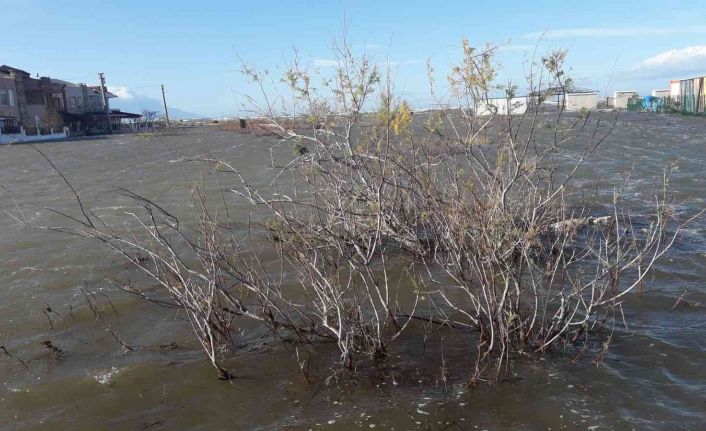 Edirne’de denizin taşmasıyla kabus gibi gün, korku dolu anlar yaşanıyor