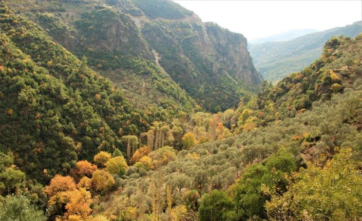 EKODOSD’ tan, Koçak Kanyonu için koruma çağrısı