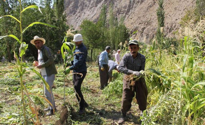 Hakkari’de kış hazırlığı