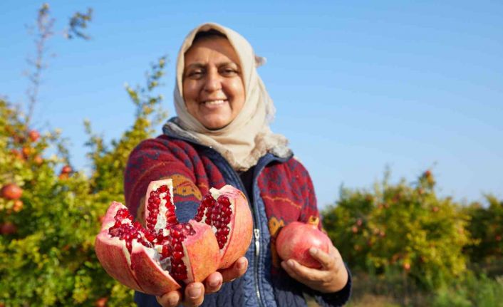 Halka arzlar artıyor, bir şirket daha borsada işlem görecek