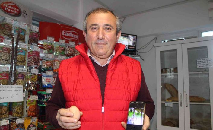 Hırsız karga: Marketten yumurta ve patates cipsi çalıyor