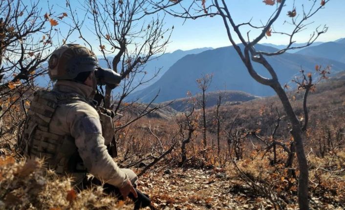 İçişleri Bakanlığı: “Eren Kış-3 Şehit Jandarma Binbaşı Ercan Kurt Lice-Sağgöze Operasyonu başlatıldı”