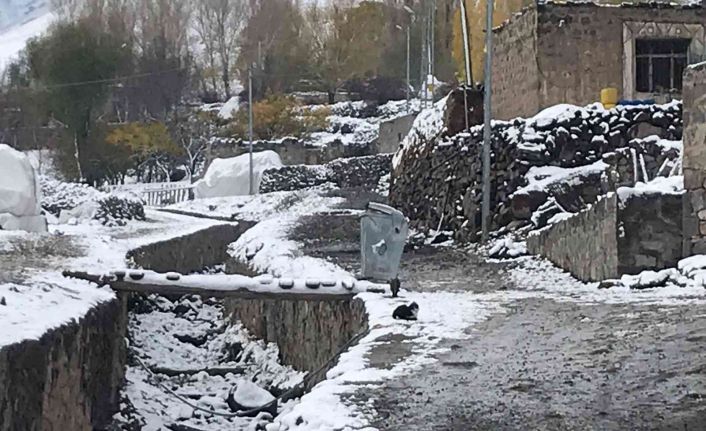 Iğdır’da kar ve tipi nedeniyle 2 köy yolu kapandı