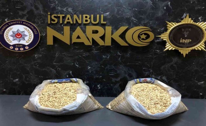 İstanbul’da uyuşturucu operasyonları: 100 bin hap ve 57 kilo kenevir ele geçirildi