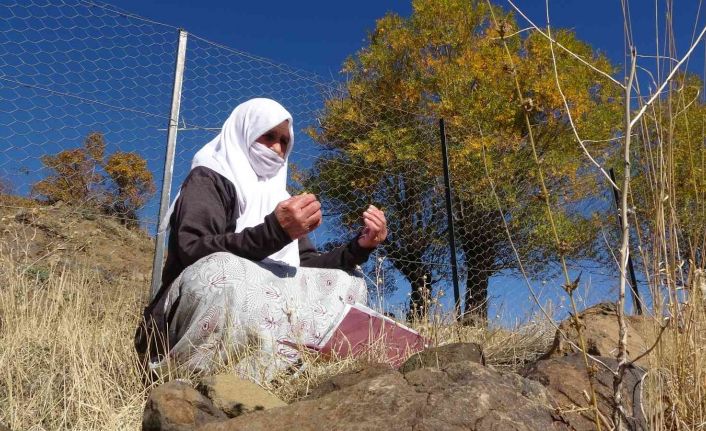 İYİ Partili Lütfü Türkkan küfür etmişti, bir tepki de şehidin annesinden geldi