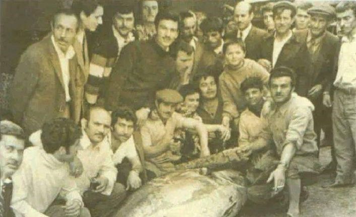 İzmit Körfezinde orkinos balığının ardından su samuru görüldü