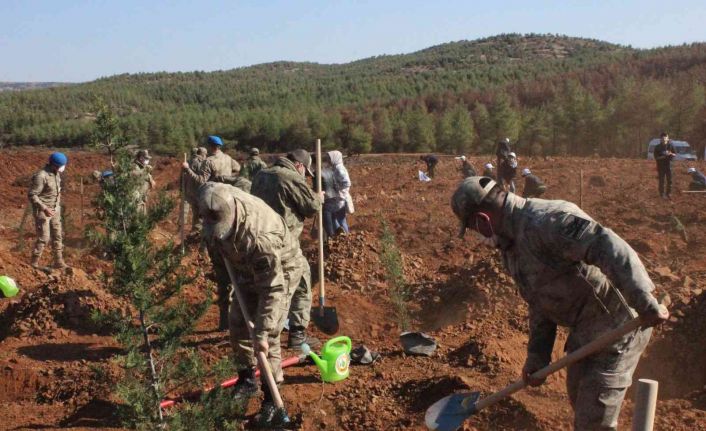 Jandarmadan fidan dikme etkinliği