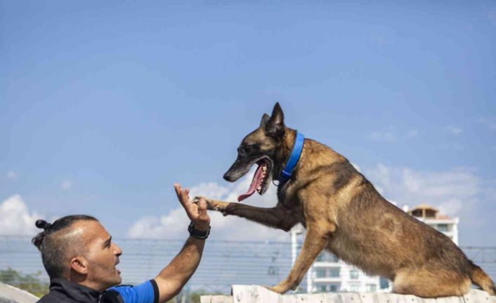 K-9 köpekleri Mersin itfaiyesinin gözü kulağı oluyor