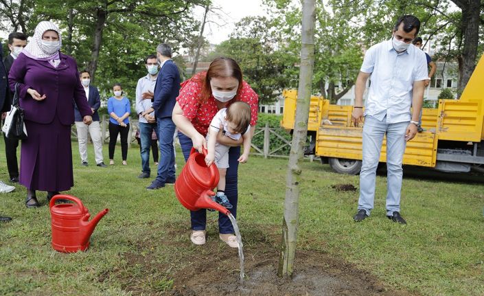 Kağıthane’de 2019 Nisan’ından bugüne kadar 23 bin 800 ağaç dikimi gerçekleştirildi