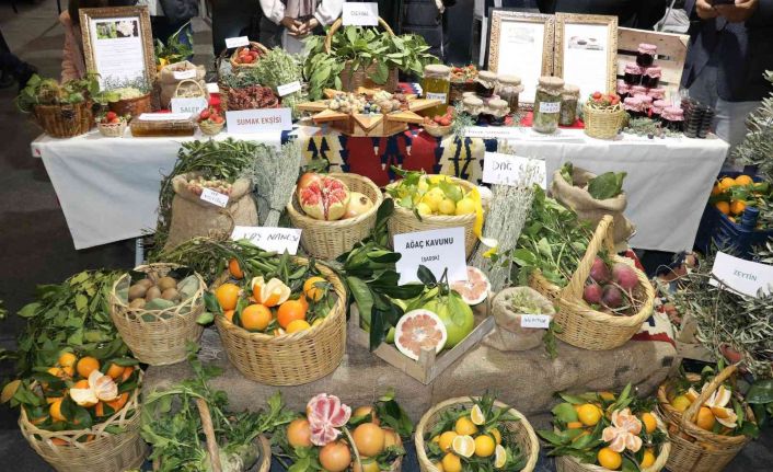 Kahramanmaraş Tarım Gıda ve Hayvancılık Fuarı açıldı