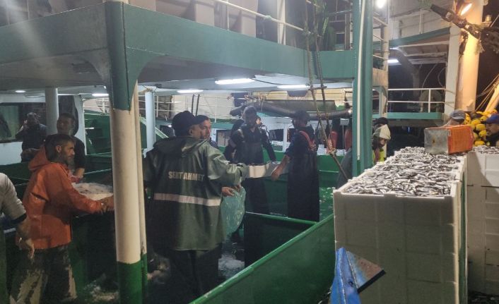 Karadeniz’de balık bolluğu yaşanıyor