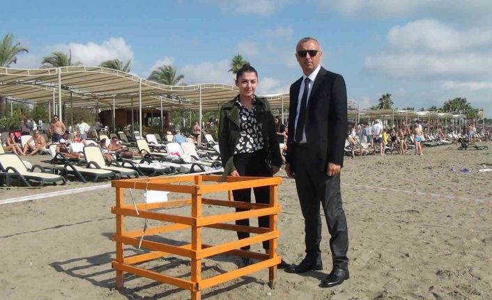 Kasım ayında denizle buluşan caretta caretta yavruları ilk kez görüntülendi