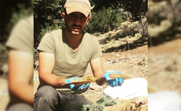 Kaya ve ağaç kovuklarındaki bal ile babası şifa bulunca balcılığı meslek edindi
