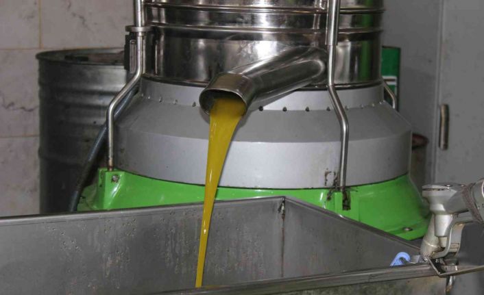 Kilis’te zeytinyağının kilosu 33 TL’den satılıyor