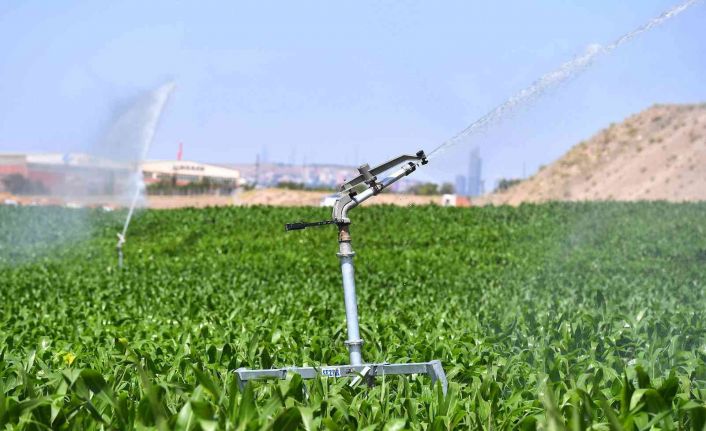 Kırsal Kalkınma hamlesinde yeni dönem: BAKAP Projesi ilk meyvelerini veriyor